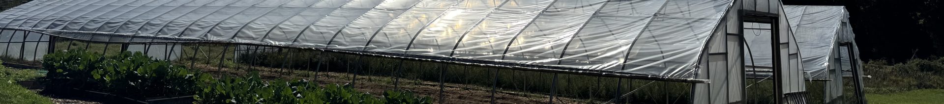 Nonprofit Farm