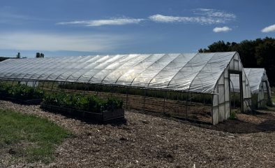 Landscaping for a Cause: How Your Garden Supports a Greener Community