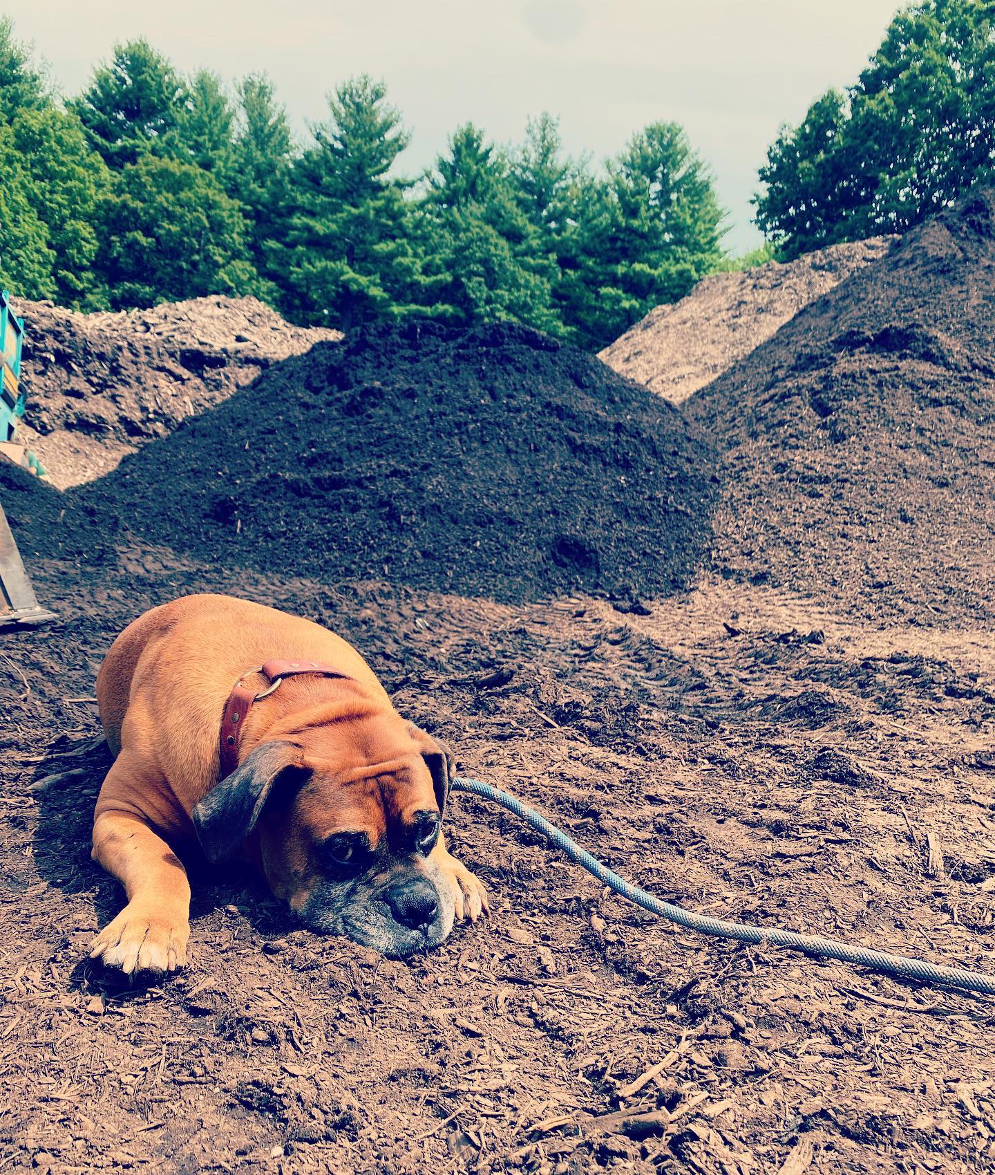 spicy compost Simsbury CT