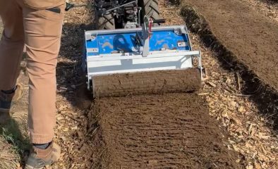 Best Biodegradable Mulch for Sustainable Vegetable Gardens