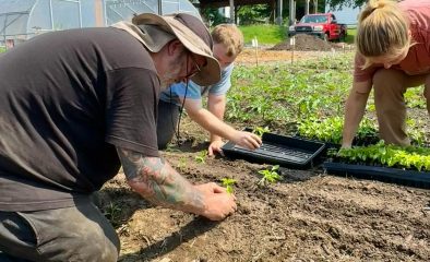 How to “Sheet Mulch” a Brand New Garden Bed Over Grass