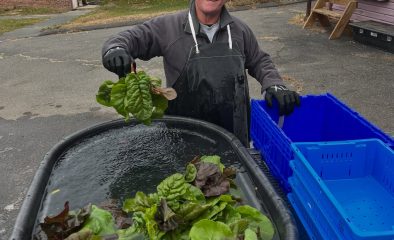 The 1,000 Square Foot Homestead: How Much Food Can You Really Grow?