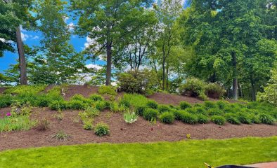 Choosing the Best Mulch for No-Till Organic Market Gardening